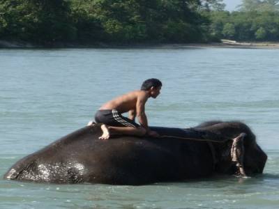 Chitwan