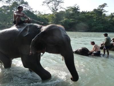 Chitwan