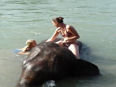 Chitwan