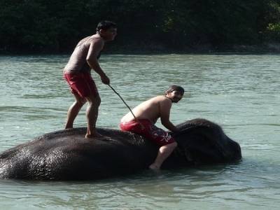 Chitwan