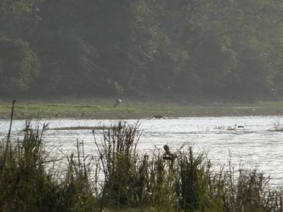 Chitwan