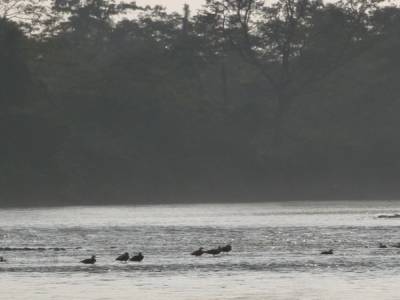 Chitwan