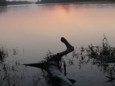Chitwan