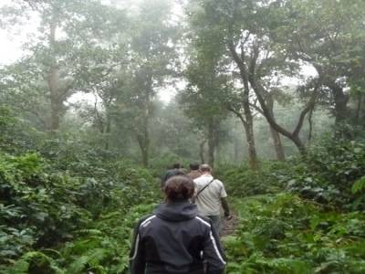 Chitwan
