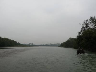 Chitwan