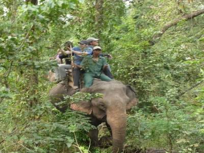 Chitwan