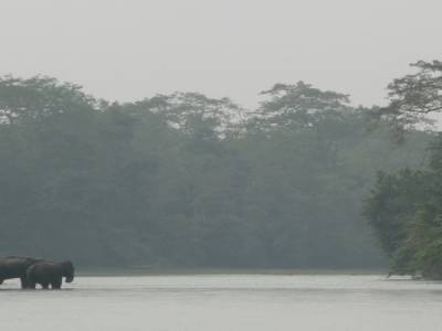 Chitwan