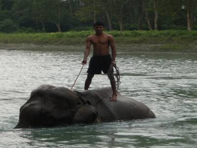 Chitwan