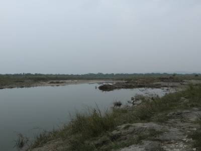 Chitwan