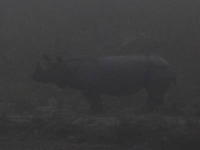 Chitwan