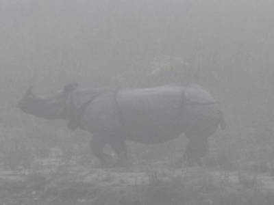 Chitwan