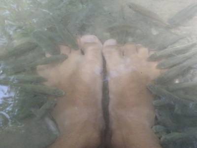 Voila pourquoi