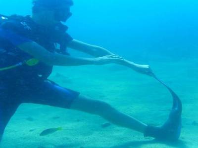 Cours de PADI