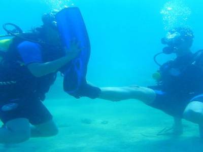 Cours de PADI