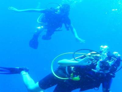 Cours de PADI