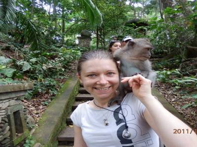 Monkey Forest