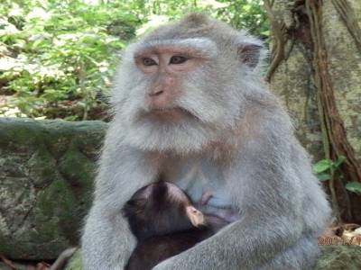 Maman, j'ai faim...