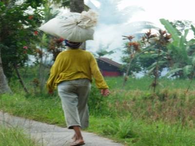 Une femme dans les rizières