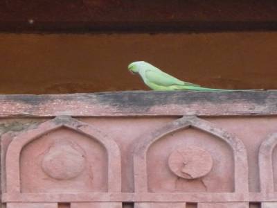 Fatehpur Sikri