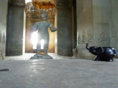 la mascotte