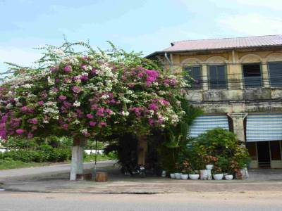Kampot