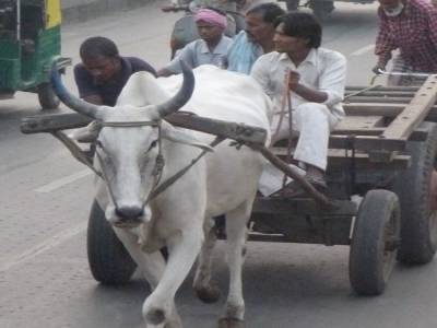 Vehicule non m'autorise