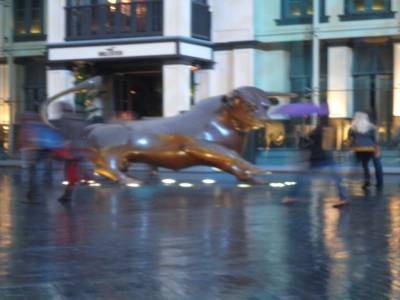 le bull de nuit