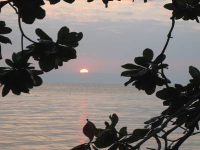 pas loin de l'ile aux lapins