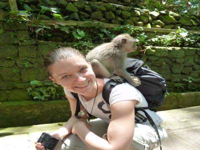Monkey Forest