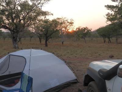 Lever de soleil dans le bush !