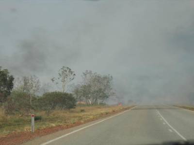 Bush fire