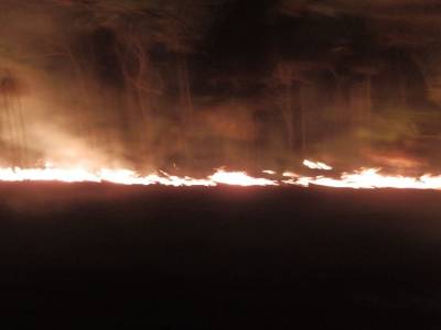 Bush fire de nuit