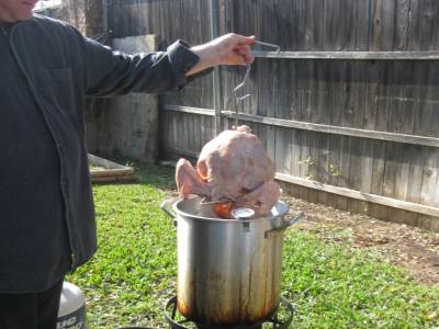 Le Dindon avant de se faire frire (dans le jardin)
