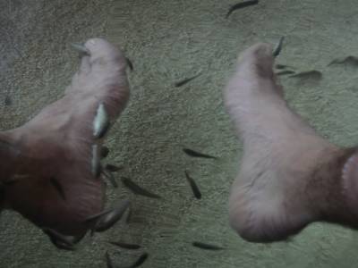 PALERMO - fish pedicure !