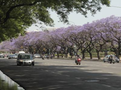 RECOLETA 