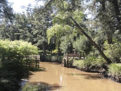 TIGRE- Delta del Parana