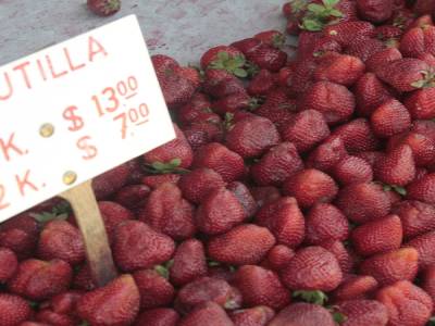 frutillas, eso dicen !