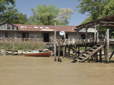 TIGRE- Delta del Parana
