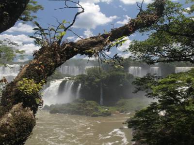 on the Argentinan side of the park