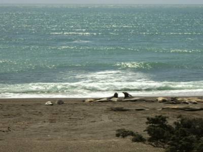 Punta Norte