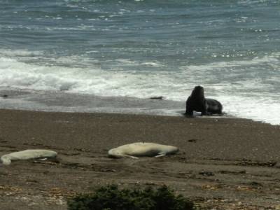 Punta Norte