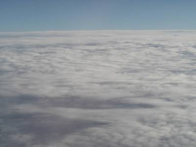 The flight