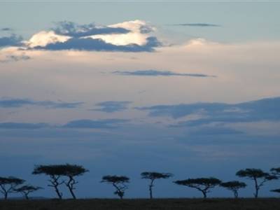 Maasai Mara National reserve - Kenya