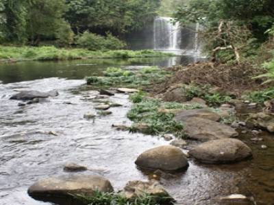 Les chutes de Champee