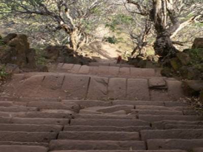 Les raides escaliers de Wat Phou