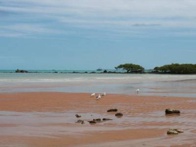Town beach