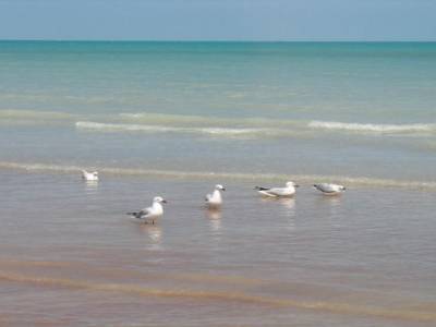 Conversation à town beach