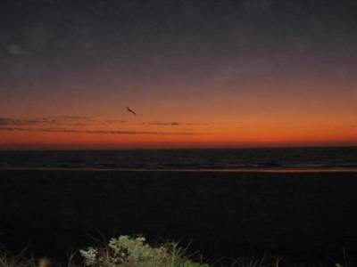 Coucher de soleil sur Cable beach