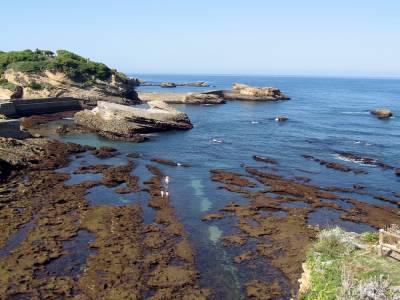 Biarritz!