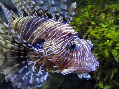 Aquarium de San Sebastian